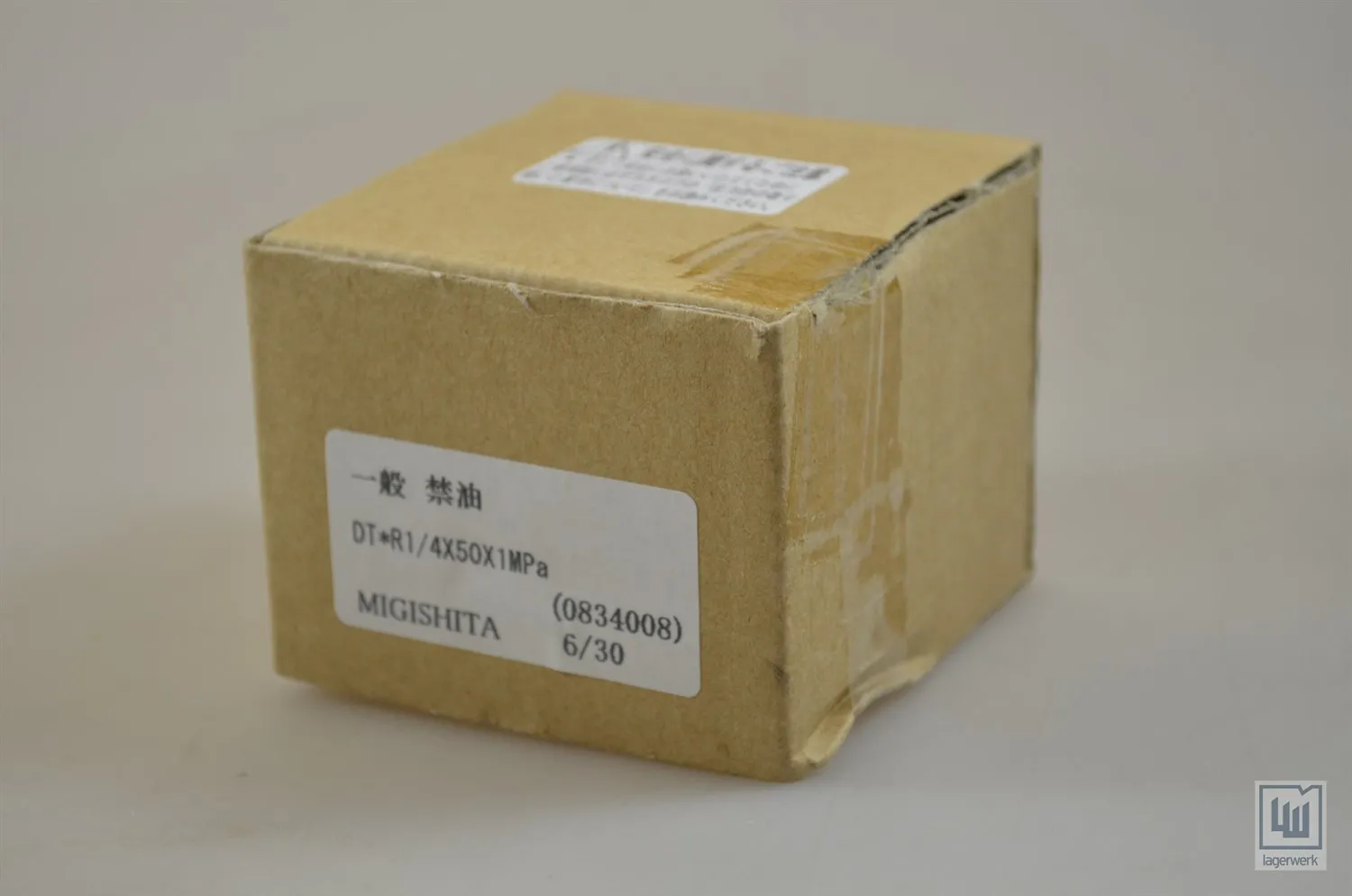 Migishita Druckmanometer / pressure manometer, DT*R1/4X50X1MPa - Neu / New