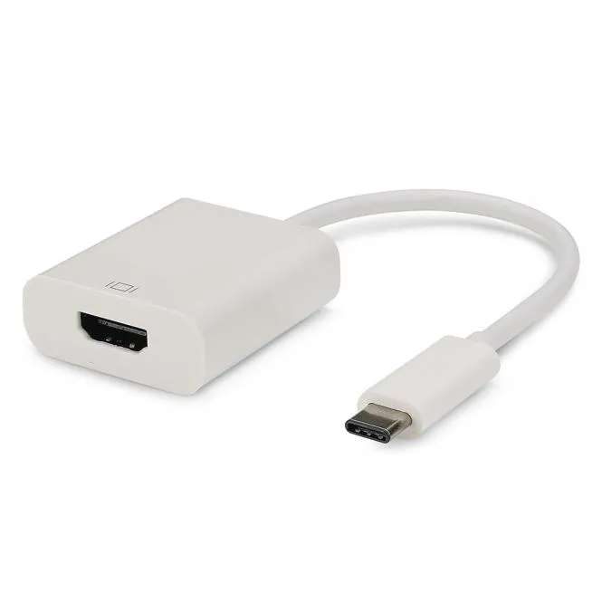 Basic | HDMI female/USB Typ C male