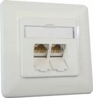 BTR 1307381002-I, Netzwerkeinsatz Cat.6 8/8 (8), 2-fach, UP, mit Abdeckung in reinweiss