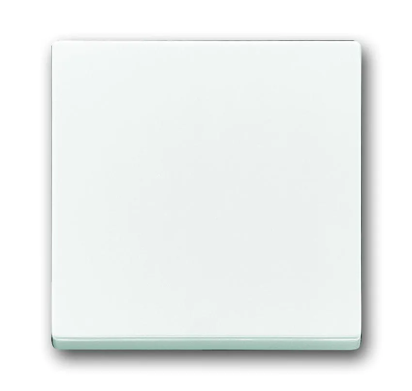 Busch Jaeger, 1786-84, solo, carat, future linear, Wippe, davos/studioweiss