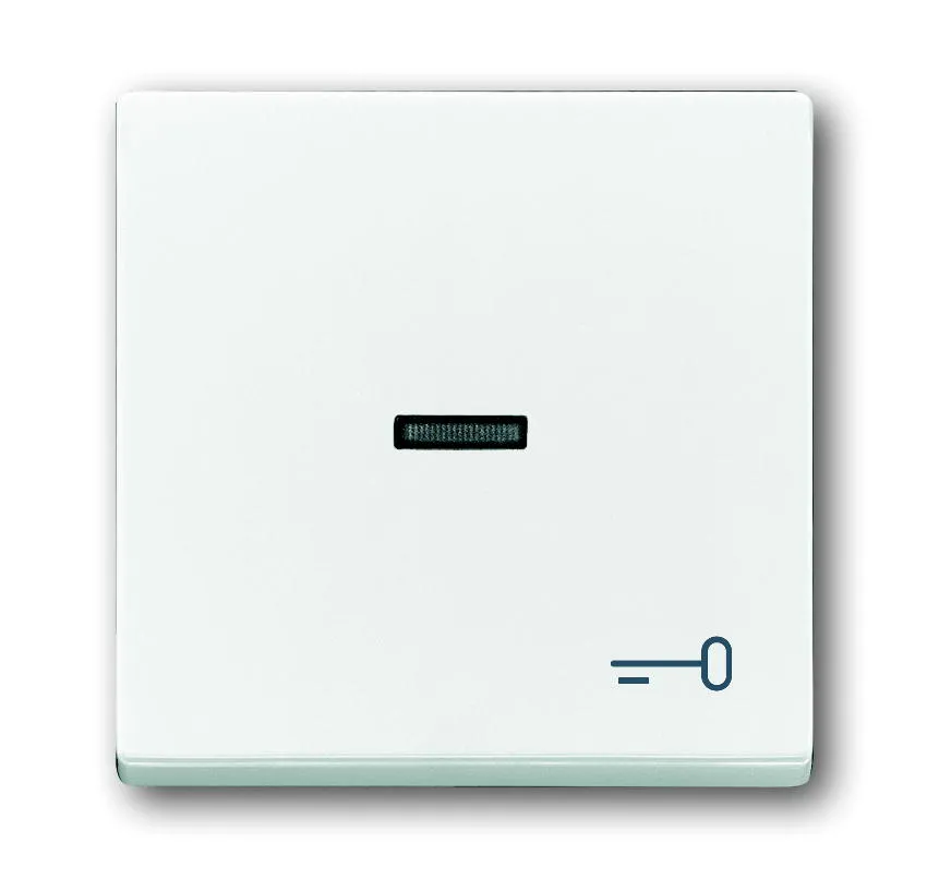 Busch Jaeger, 1789 TR-84, solo, carat, future, Kontrollwippe Symbol Schluessel, davos/studioweiss