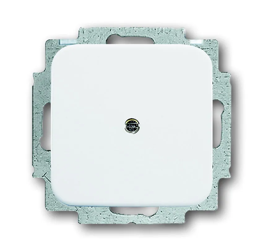 Busch Jaeger, Reflex SI, 2538-214, Blindzentralscheibe, alpinweiss