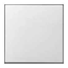 GIRA 029627, Wippe geschlossen, reinweiss/ seidenmatt , für 010600, 010700, 015100