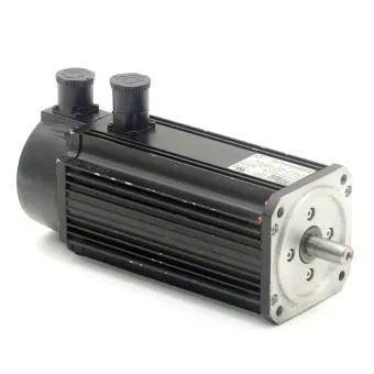Promess Servomotor