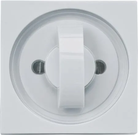 Rademacher Abdeckplatte mit Symbolscheibe Gira, Ultraweiß Typ 2656-UW #70000038